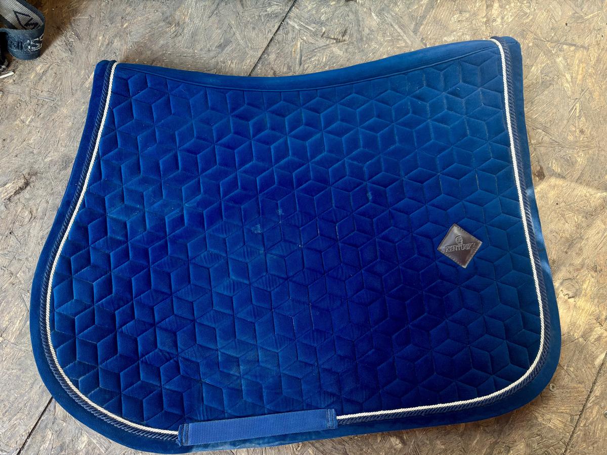 Tapis Kentucky bleu marine