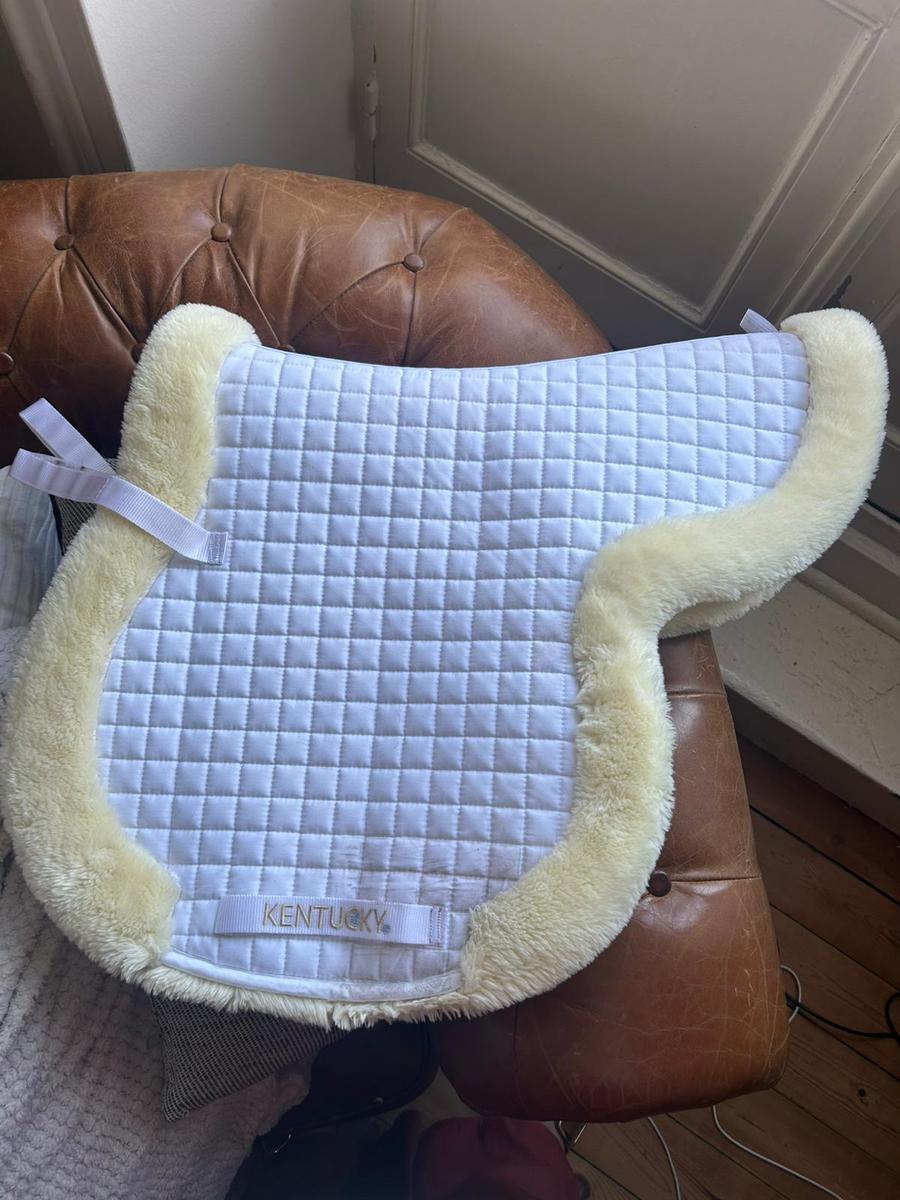 tapis Hunter kentucky