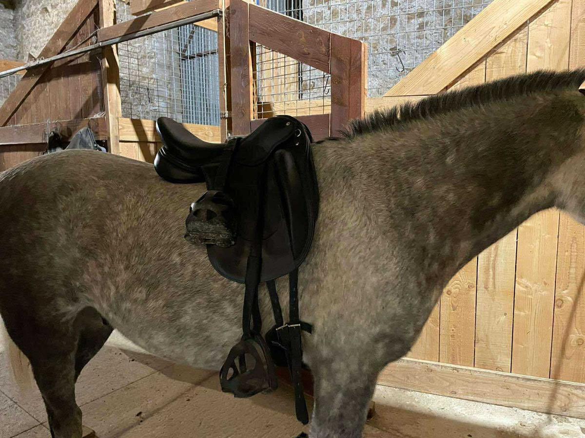 Selle TIME RIDER MARIE FRANCE