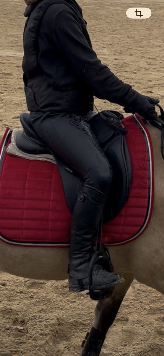 selle dressage wintec