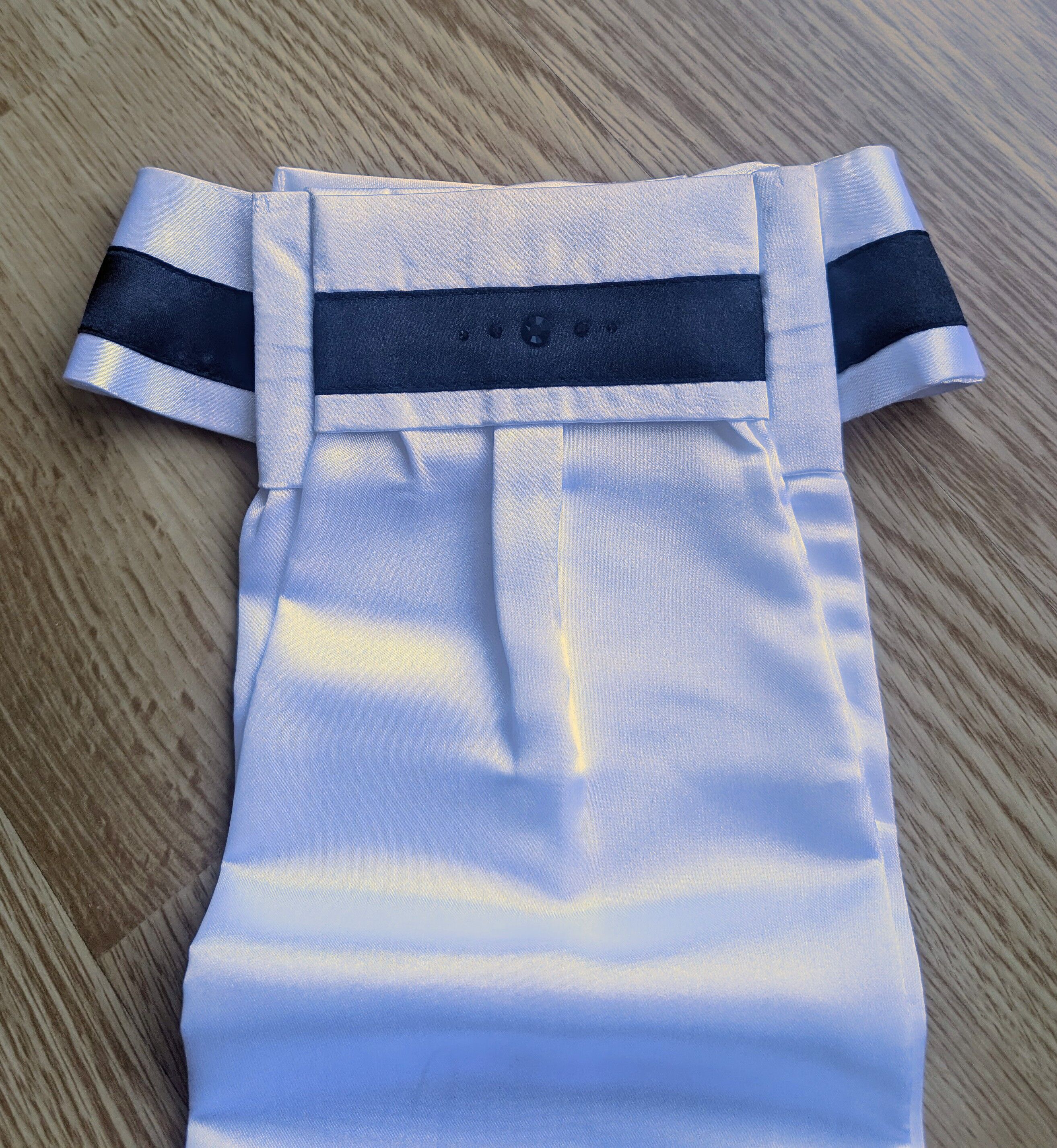 Cravate/plastron de concours