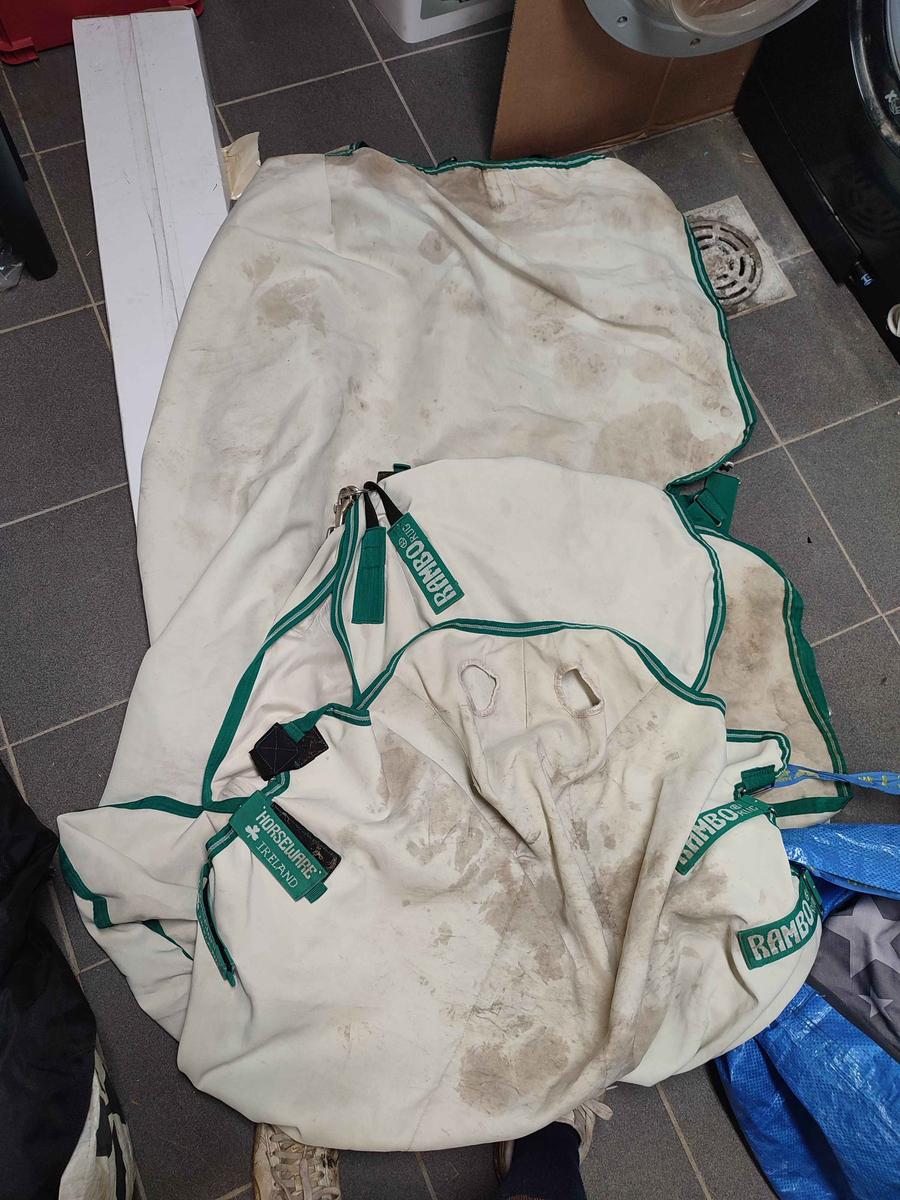 Couverture anti-eczéma Rambo Sweet Itch à capuche col montant vert clair