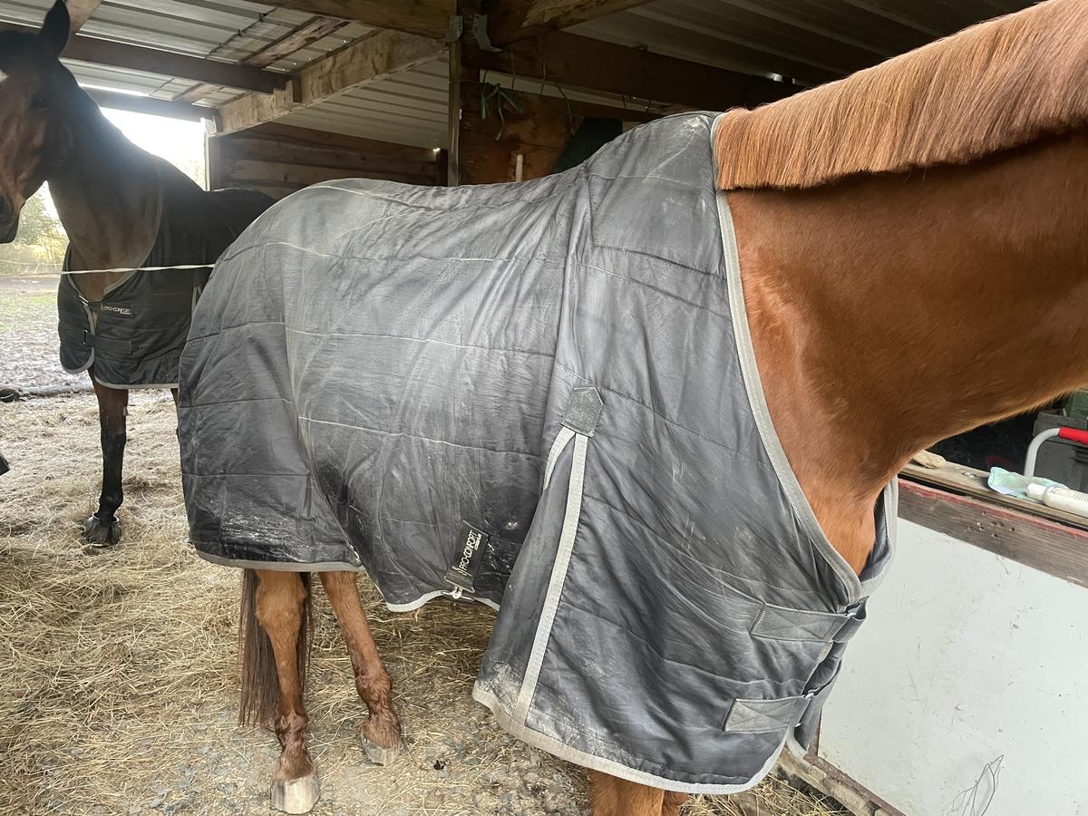 Couverture liner Pro confort gatsby