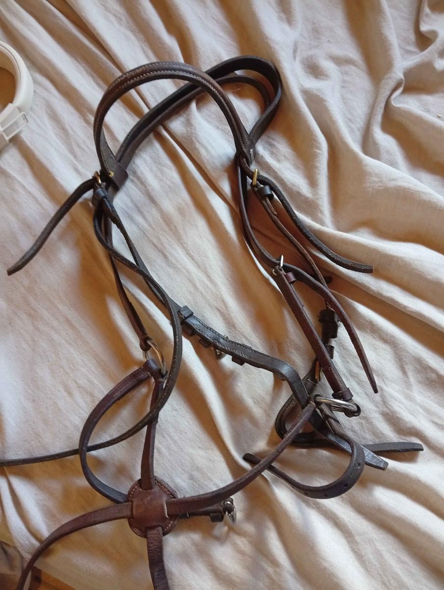 filet muserolle mexicaine