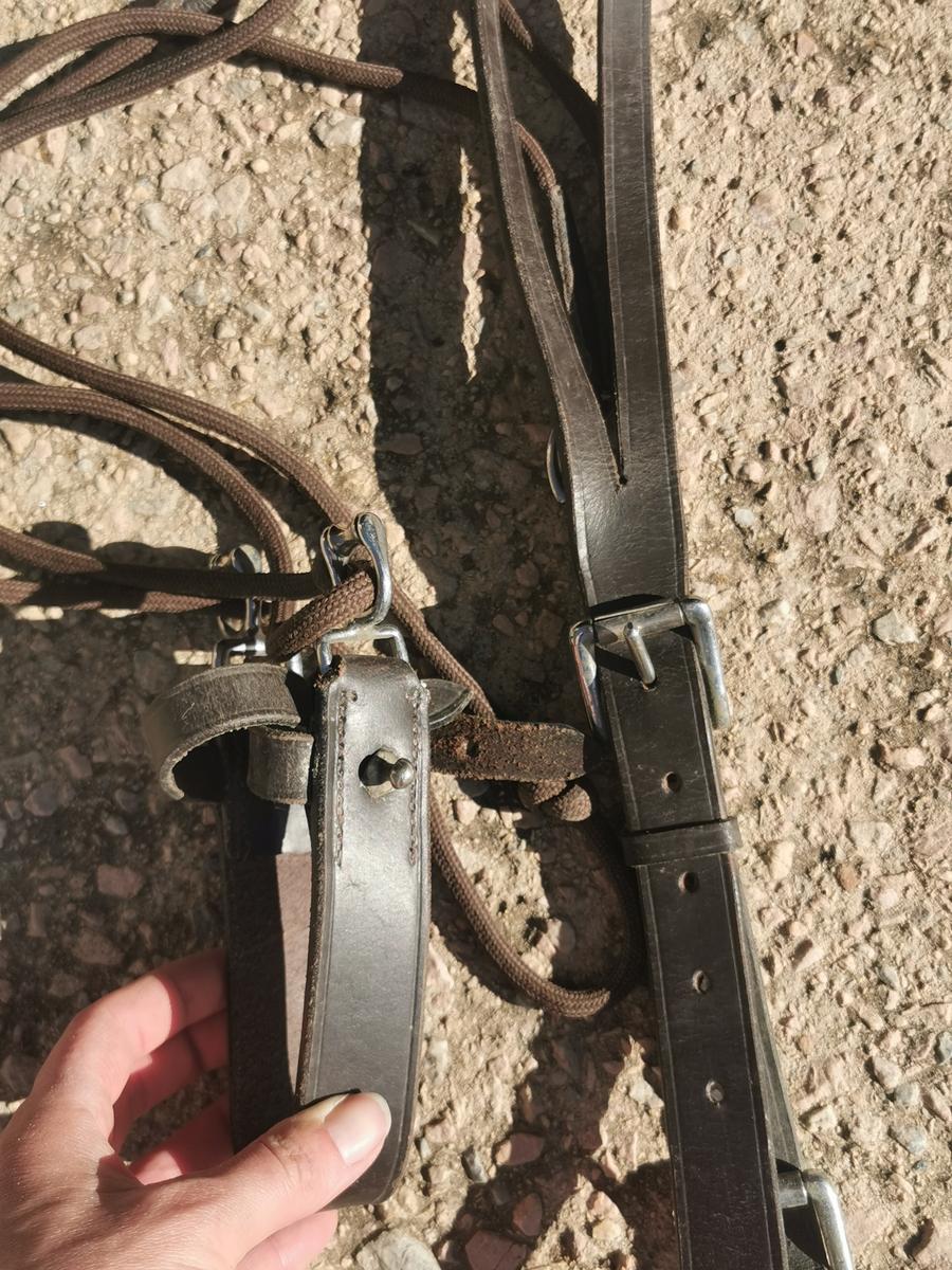 Gogue à poulies Eric Thomas