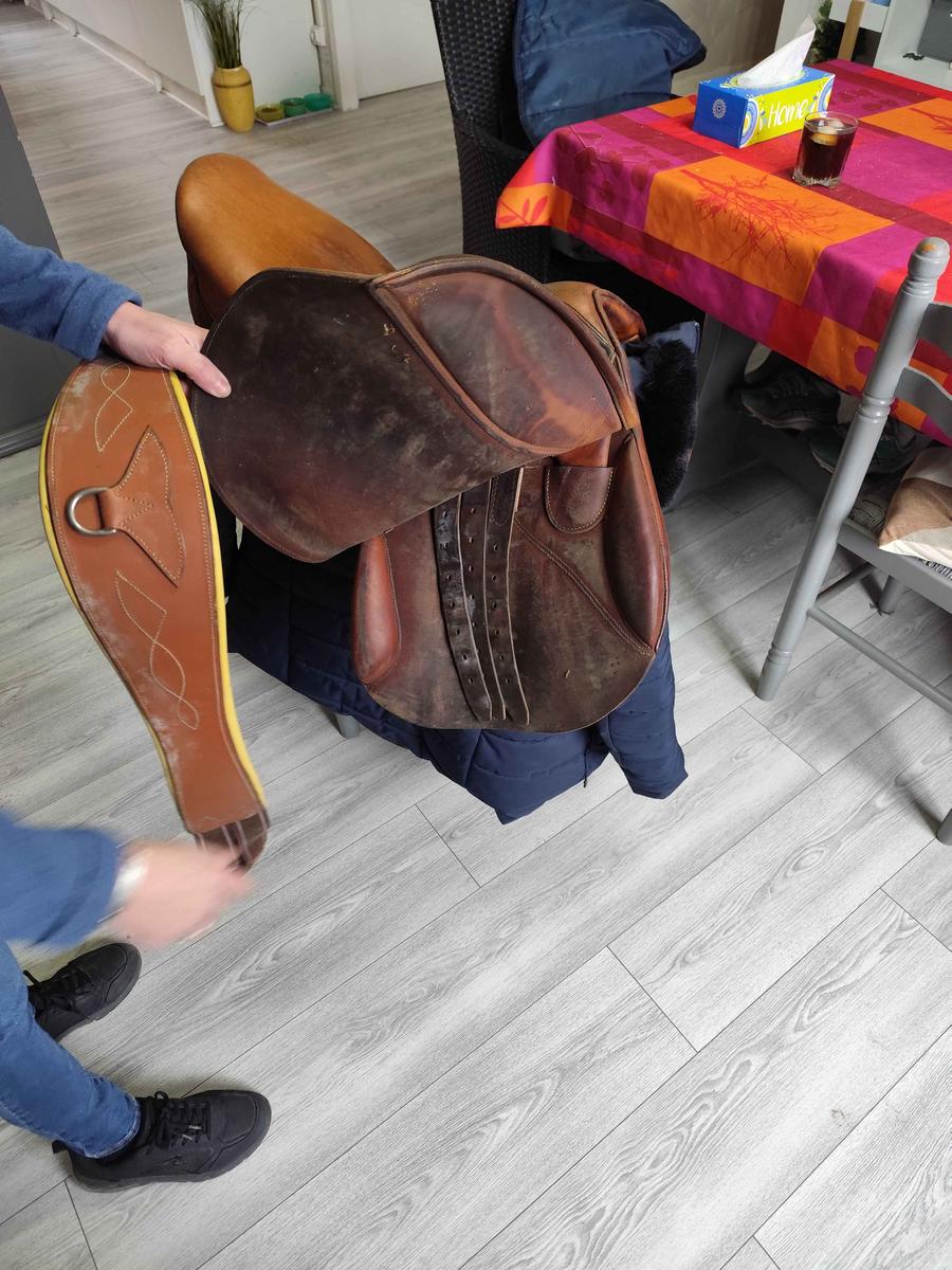 lot équitation avec selles, house, tapis coolback