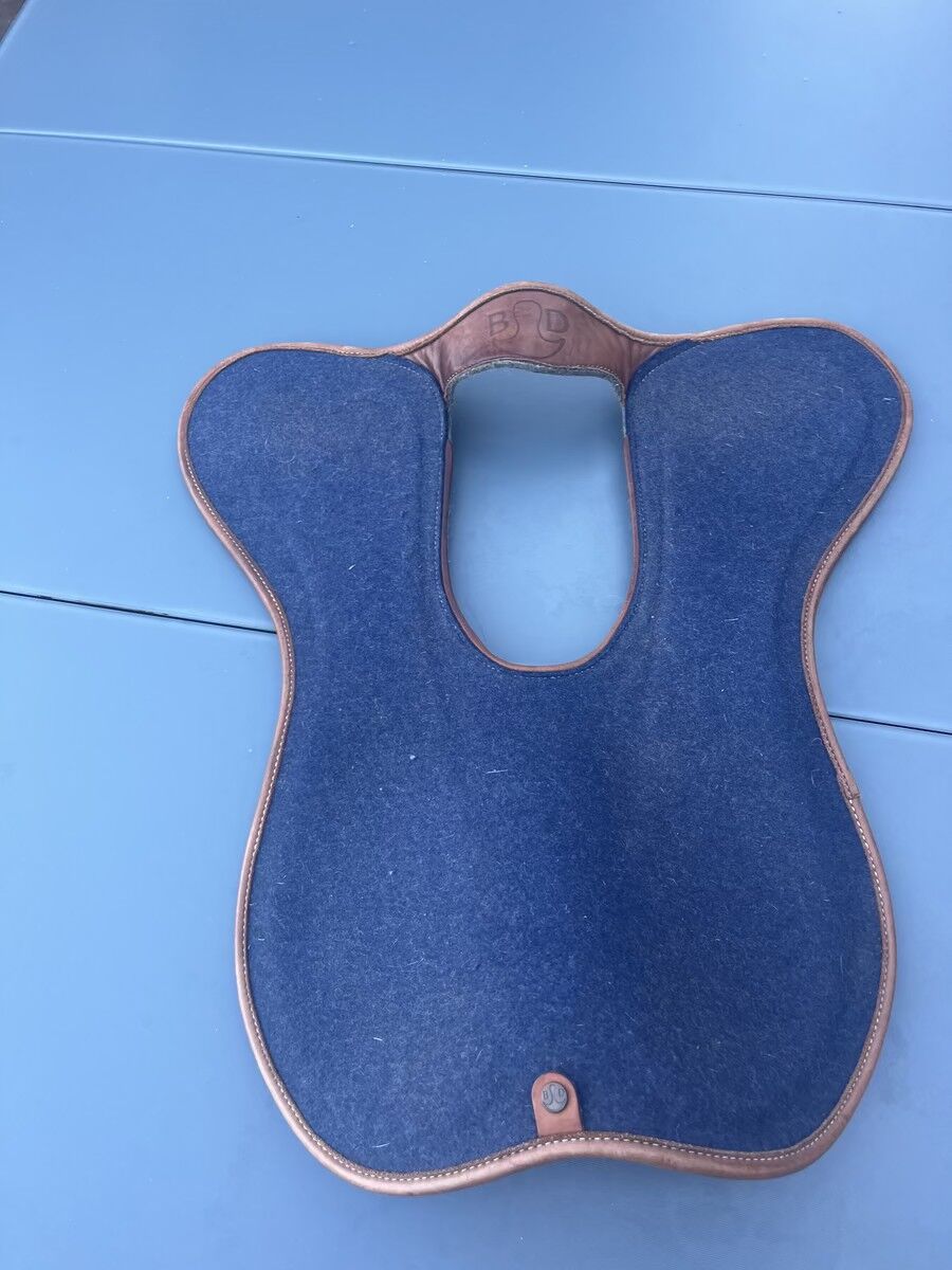 Amortisseur Bruno Delgrange