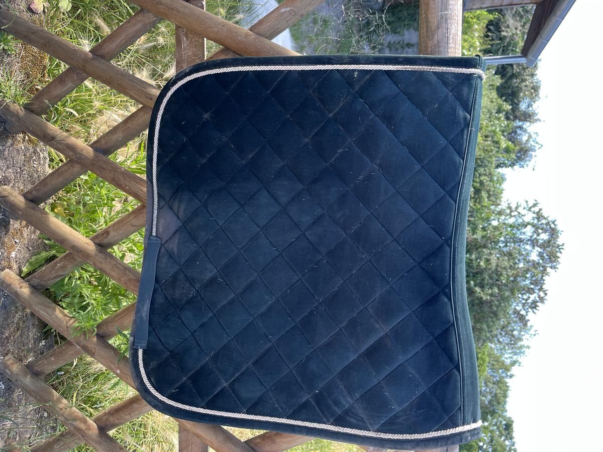 Tapis Kentucky