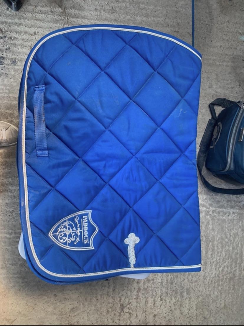 Tapis paddock bleu roi