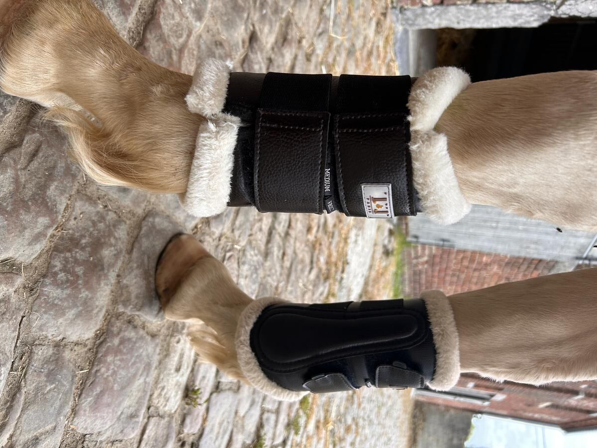 Guêtres TdeT Dressage mouton