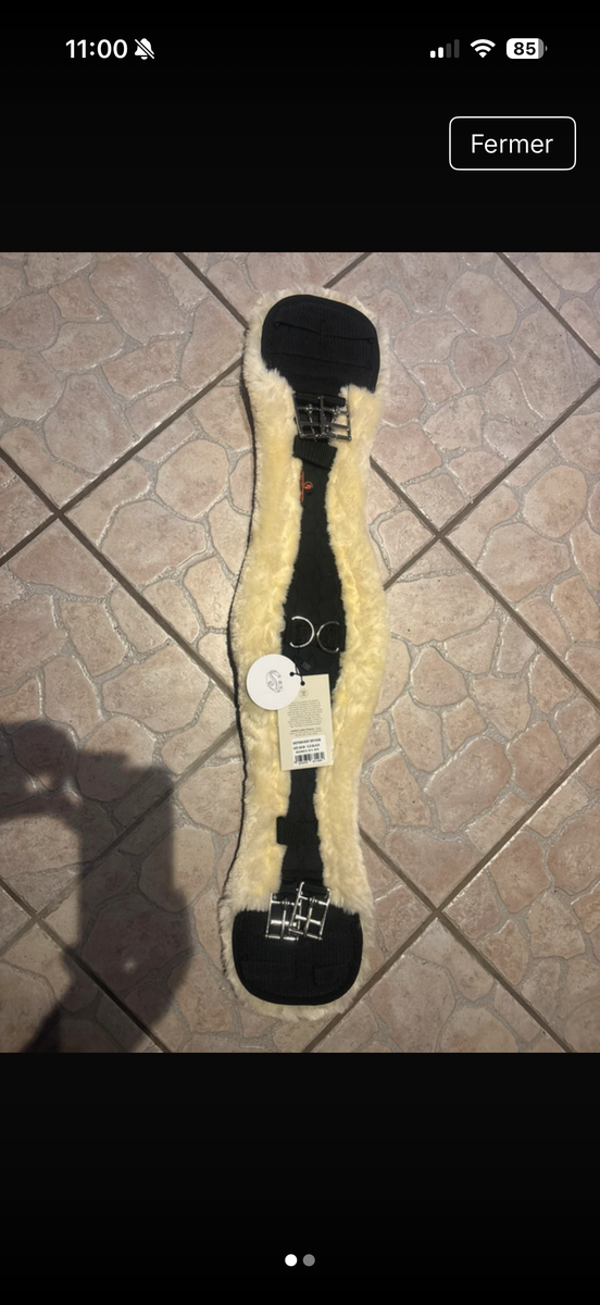 sangle courte Kentucky