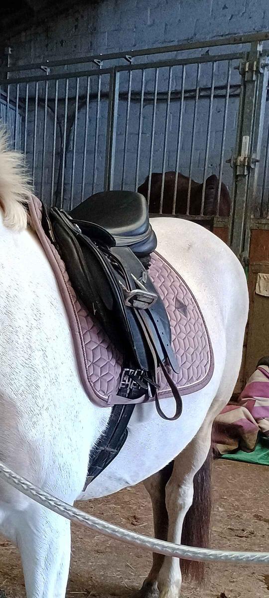 tapis Kentucky velvet parme