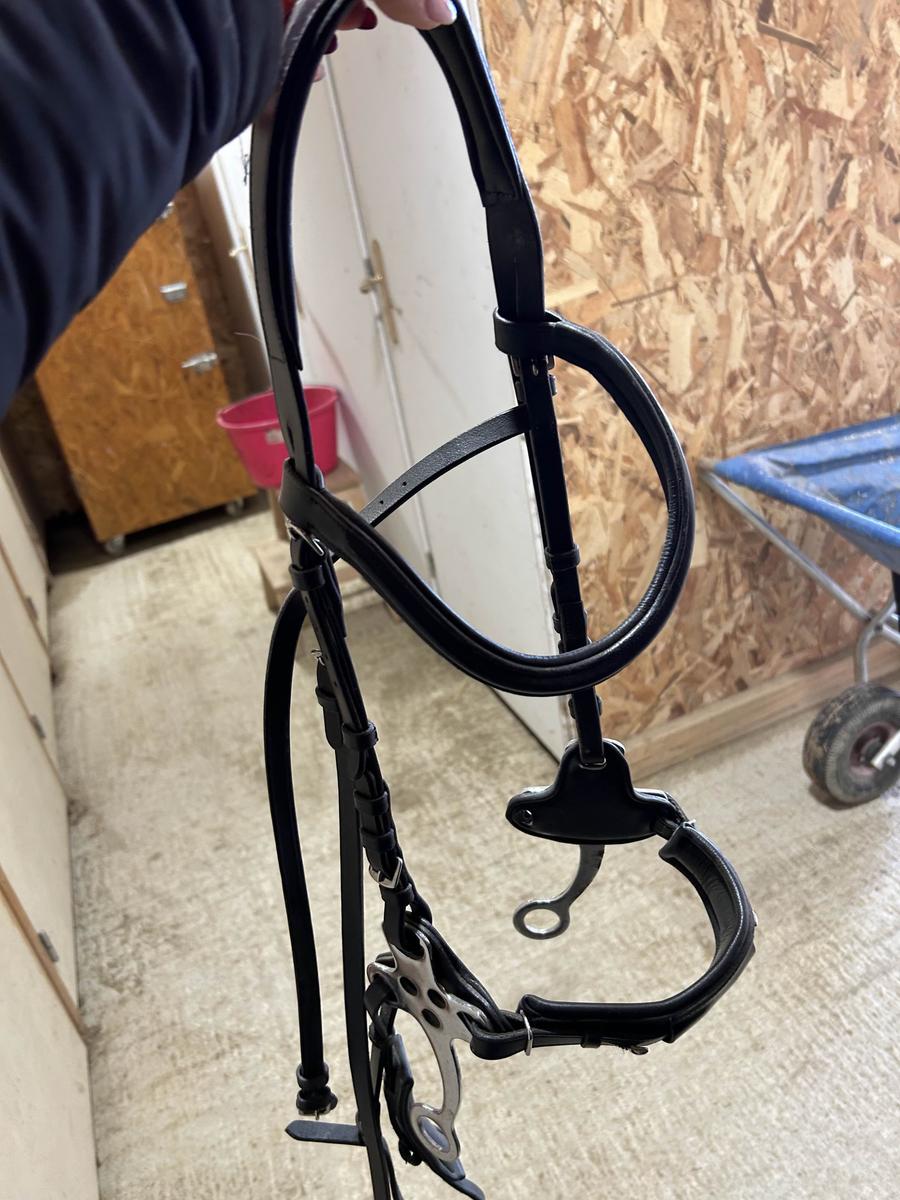 Bridon Hackamore Norton