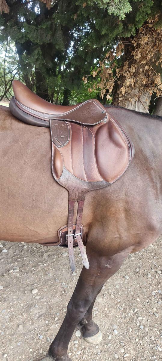 selle monoquartier rebelle sellier