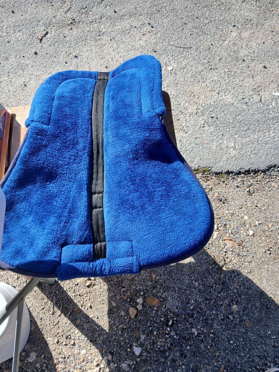 amortisseur bleu roi