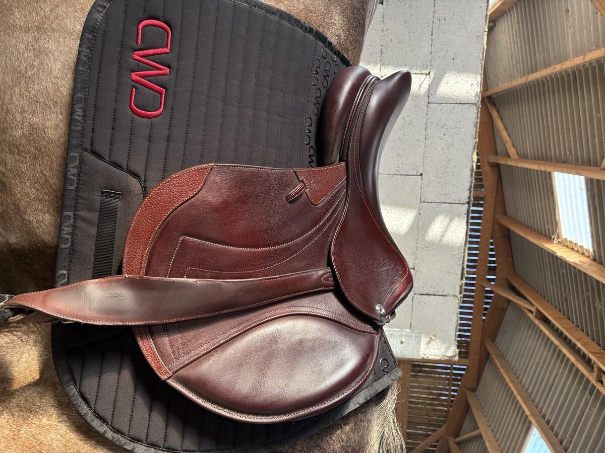Selle Cso