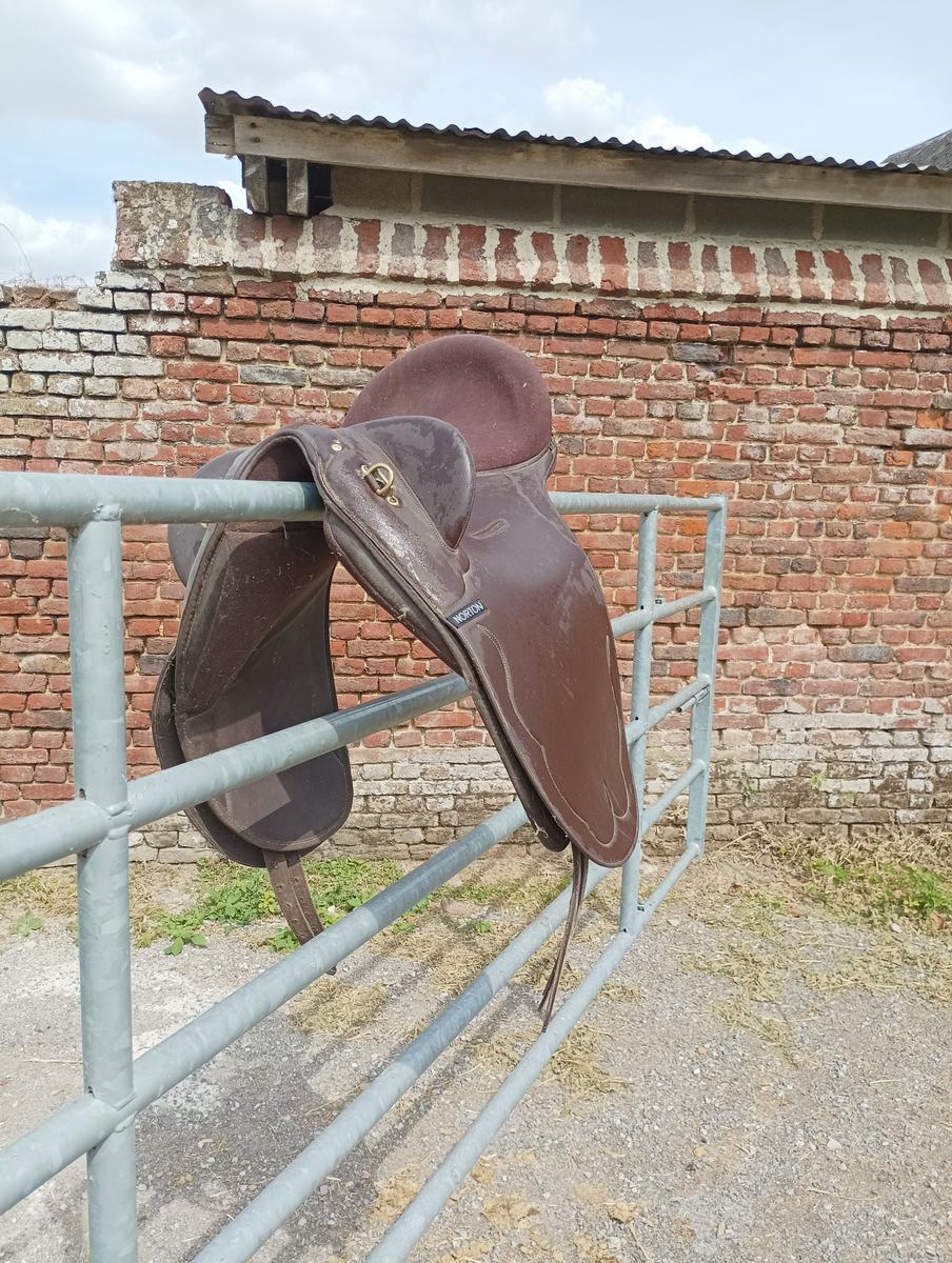 Selle de randonnée stock