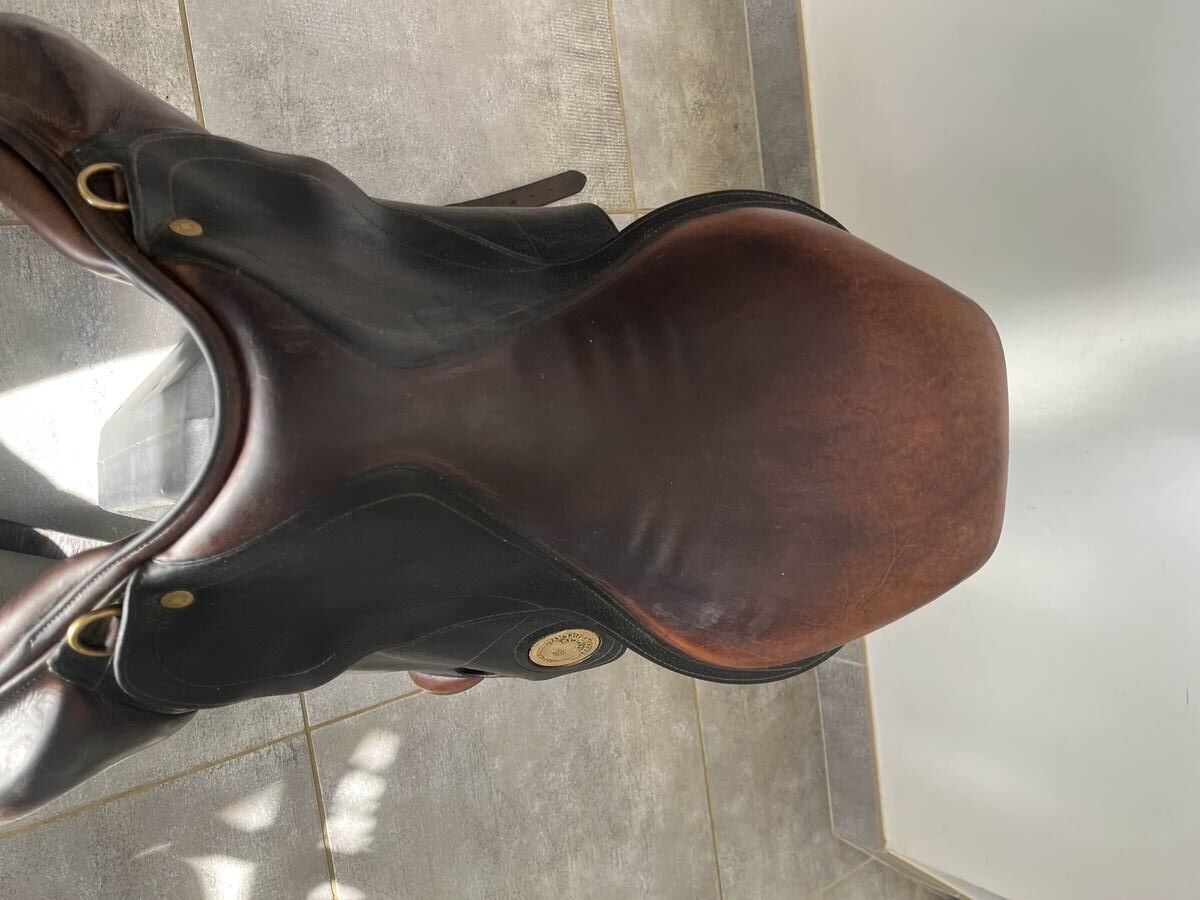 selle Maurel 16,5 pouce