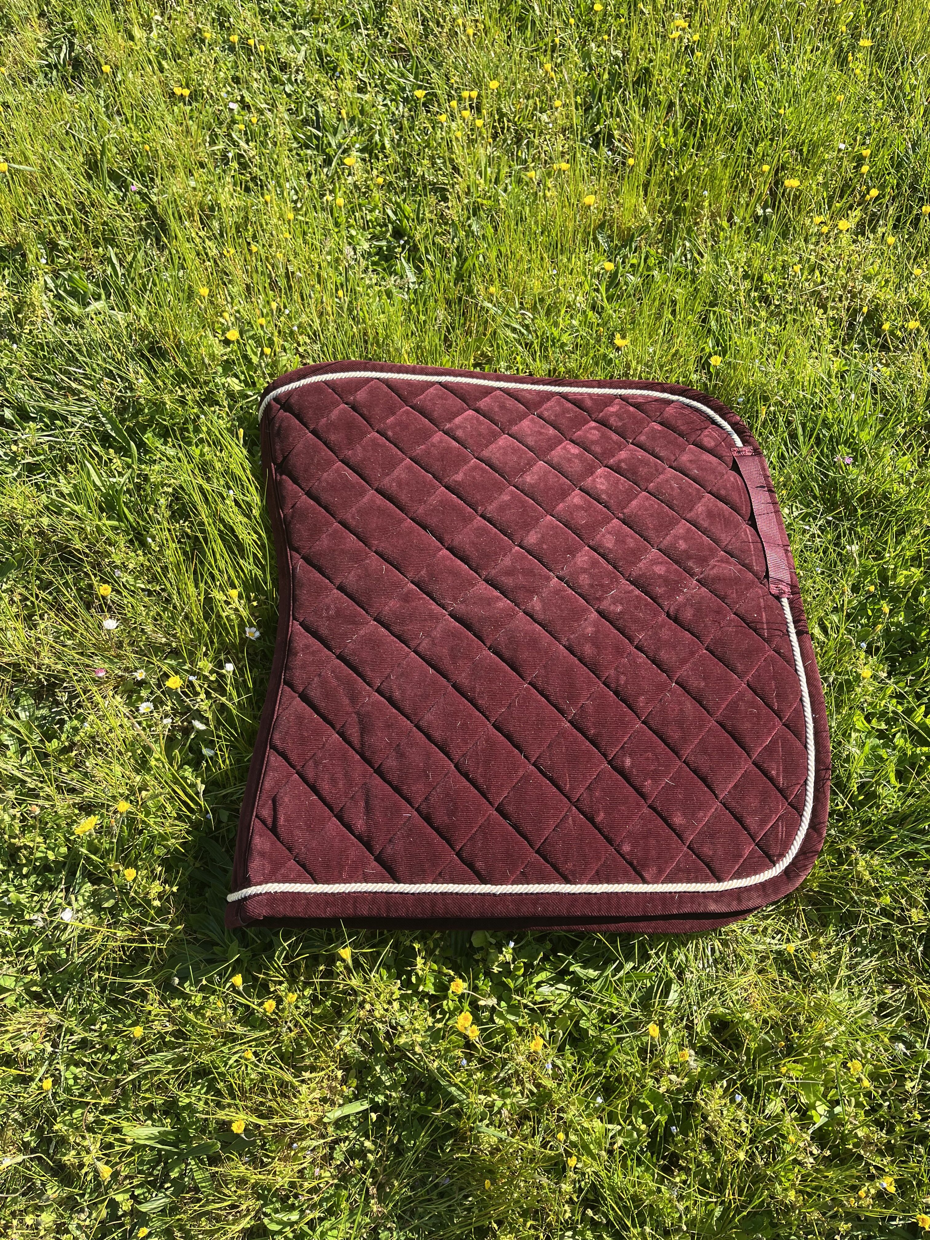 tapis kentucky velvet