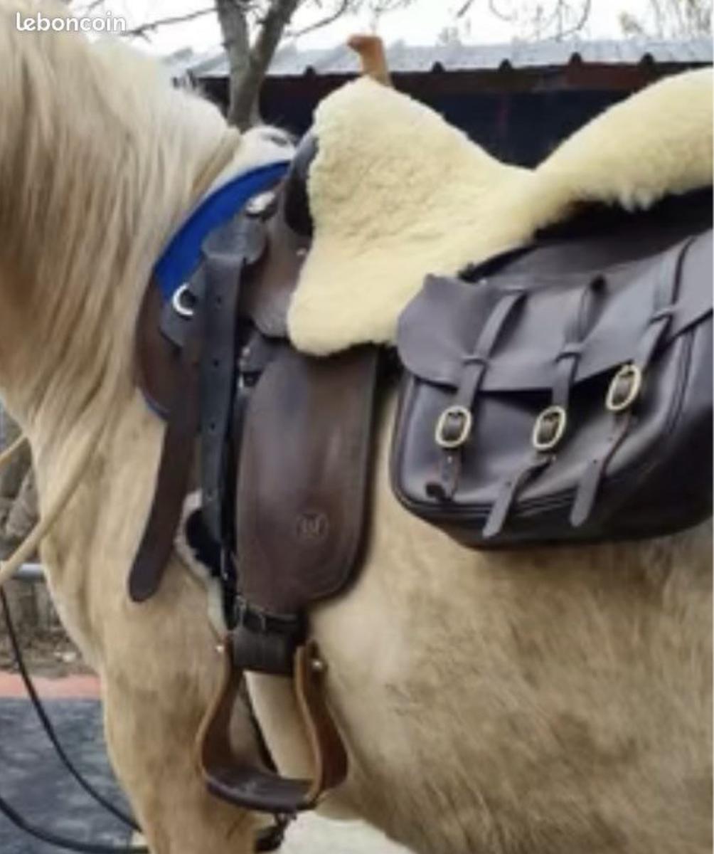 Selle western très confortable full quarter toute équipée