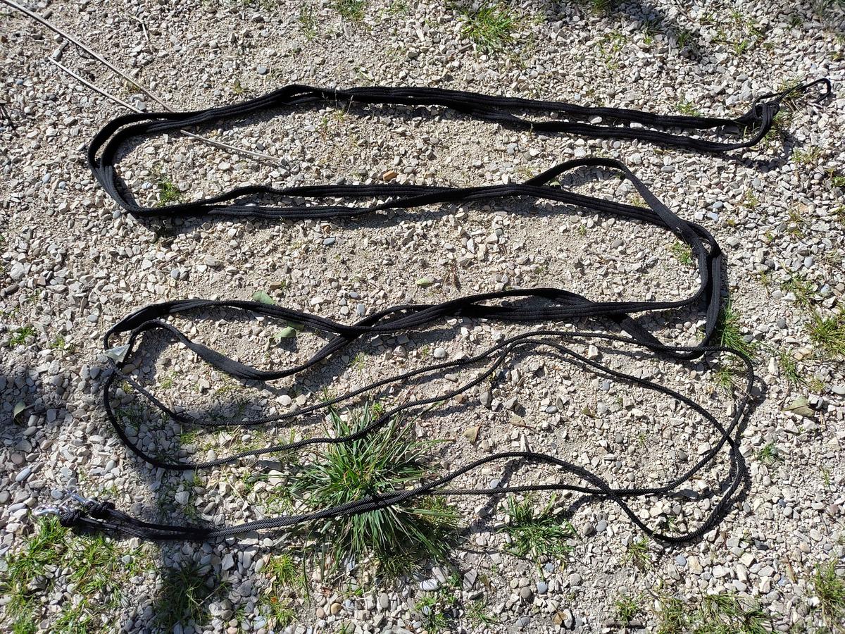 longues rênes cheval