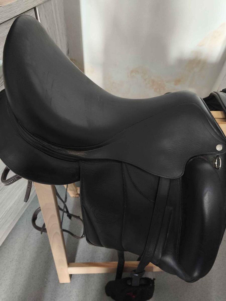 selle Forestier Aachen