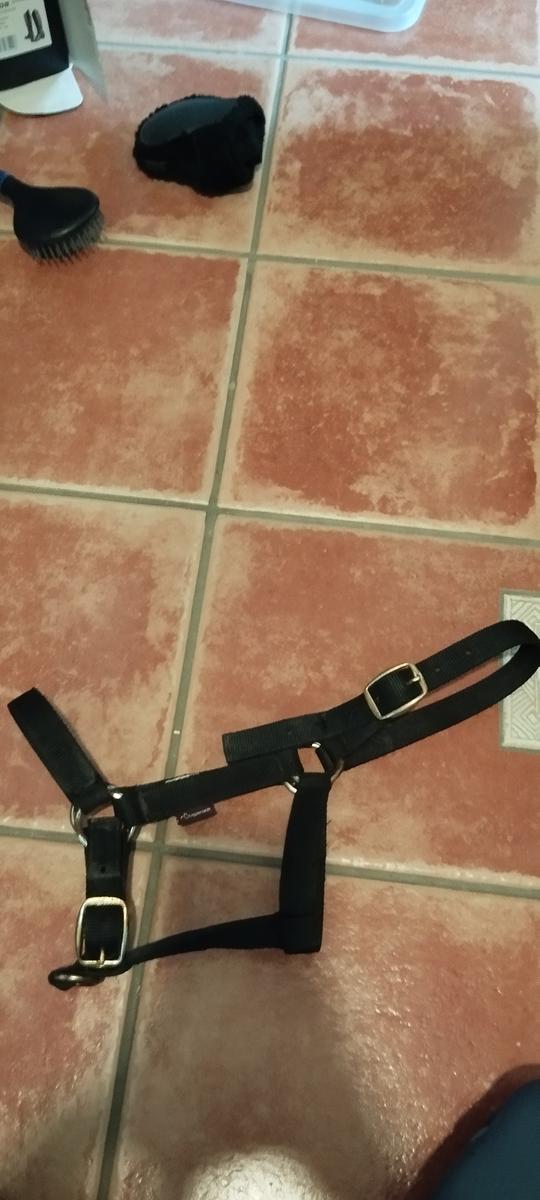 Licols noir