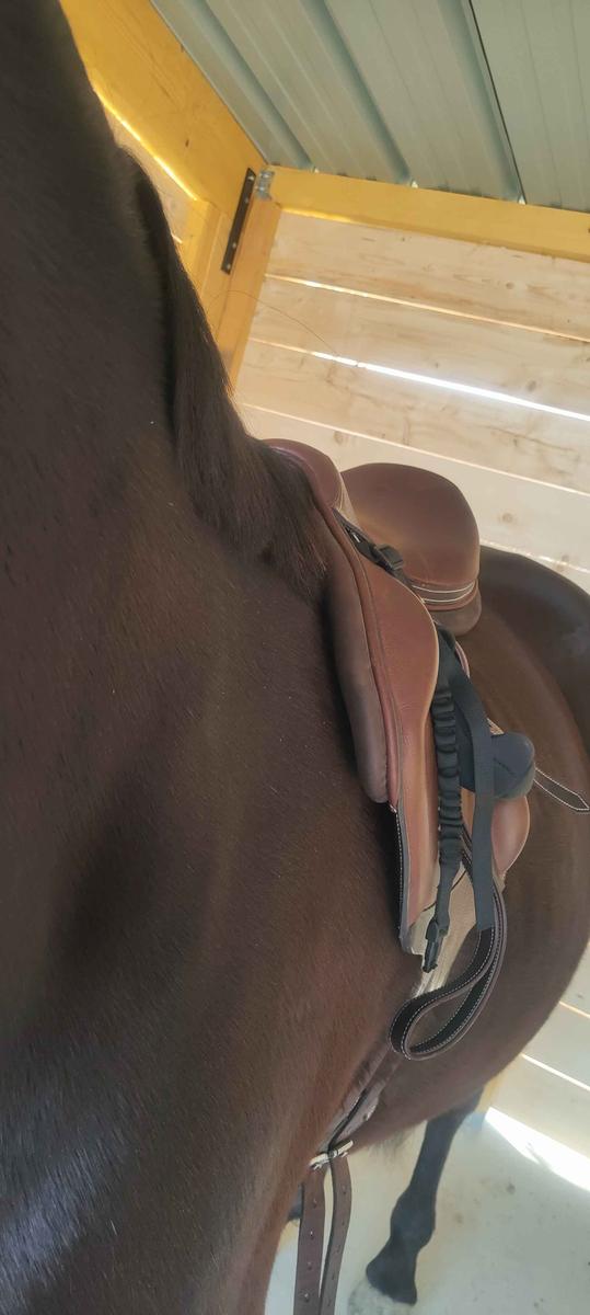 selle monoquartier rebelle