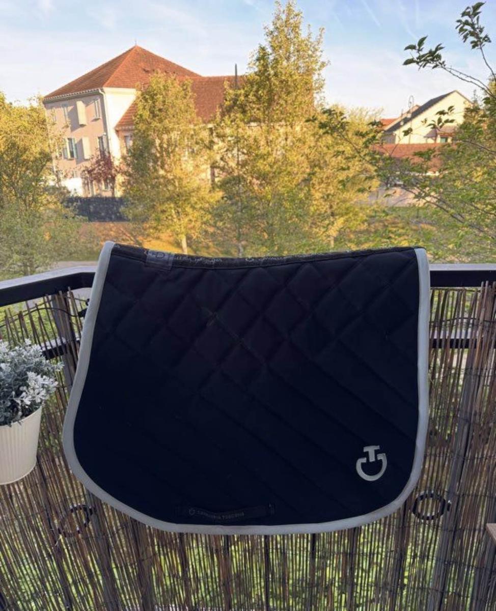 tapis cavalleria toscana noir/menthe