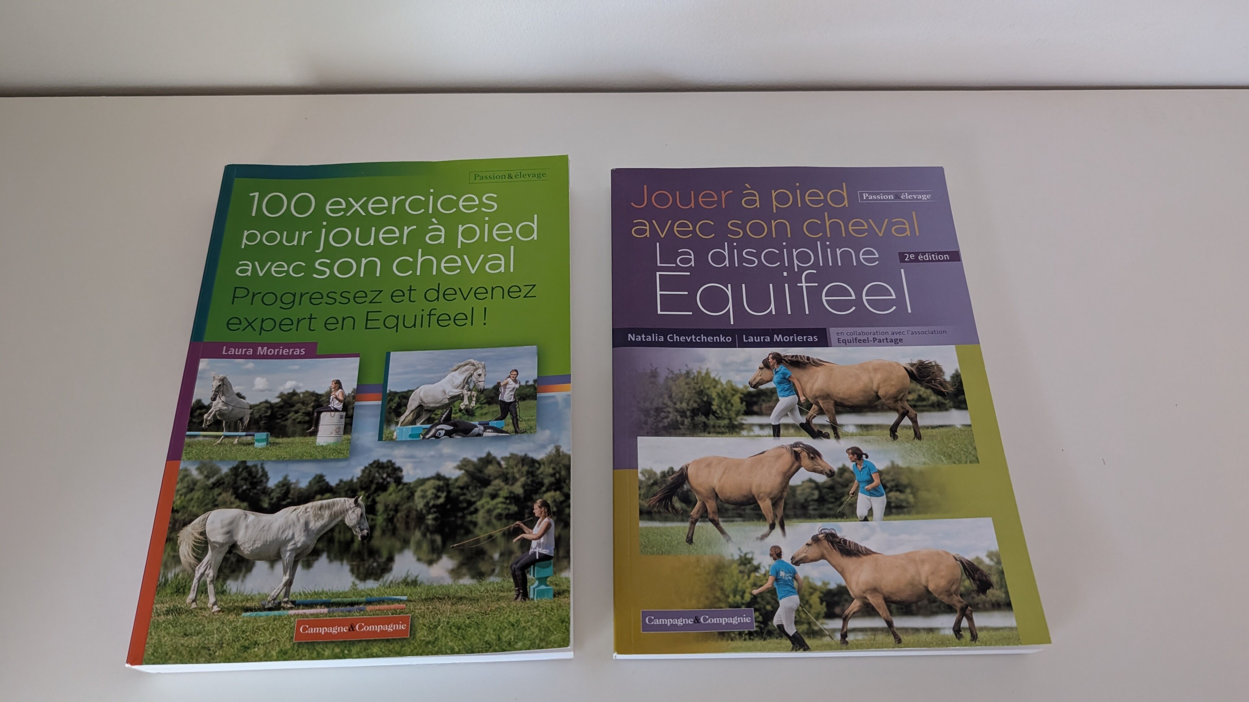 Lot de livres