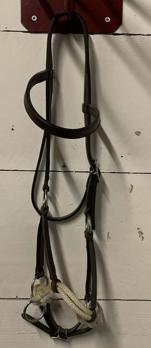 Bridon SidePull Cheval