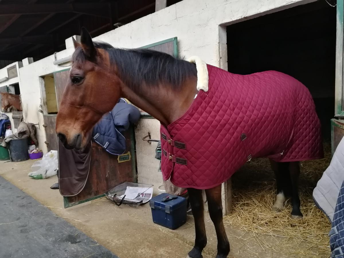 Couverture 160cm 400g Kentucky