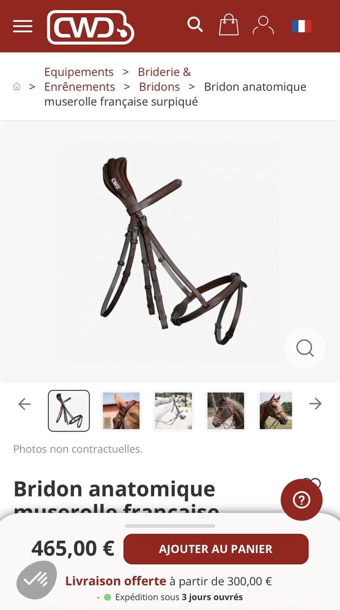 Bridons CWD Anatomique Muserolle Française Surpiquée