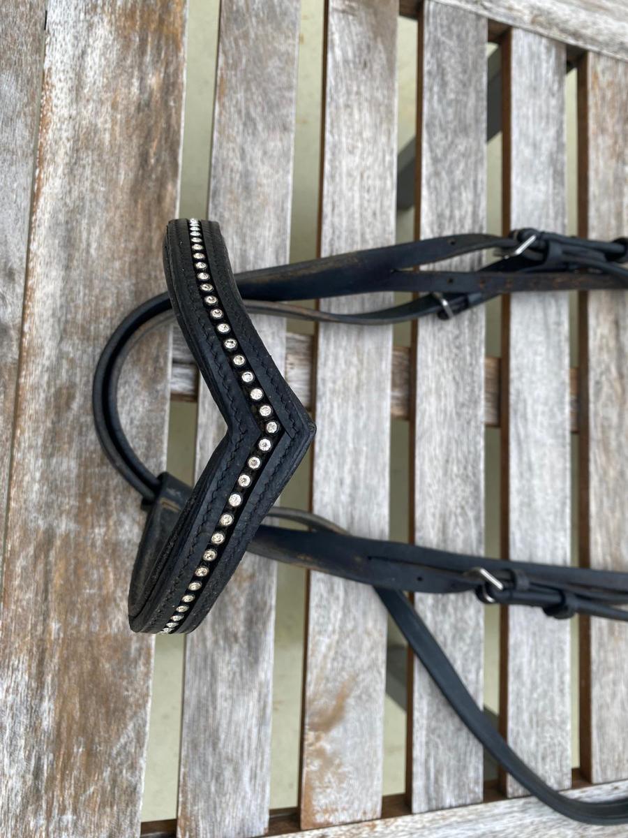 Bridon + rene + mors