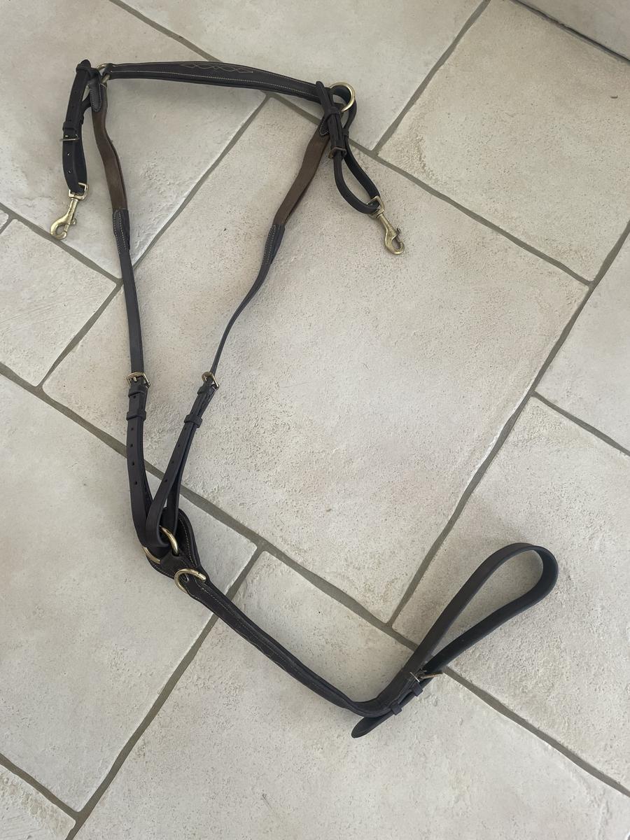 Collier de chasse marron Chetak Cob