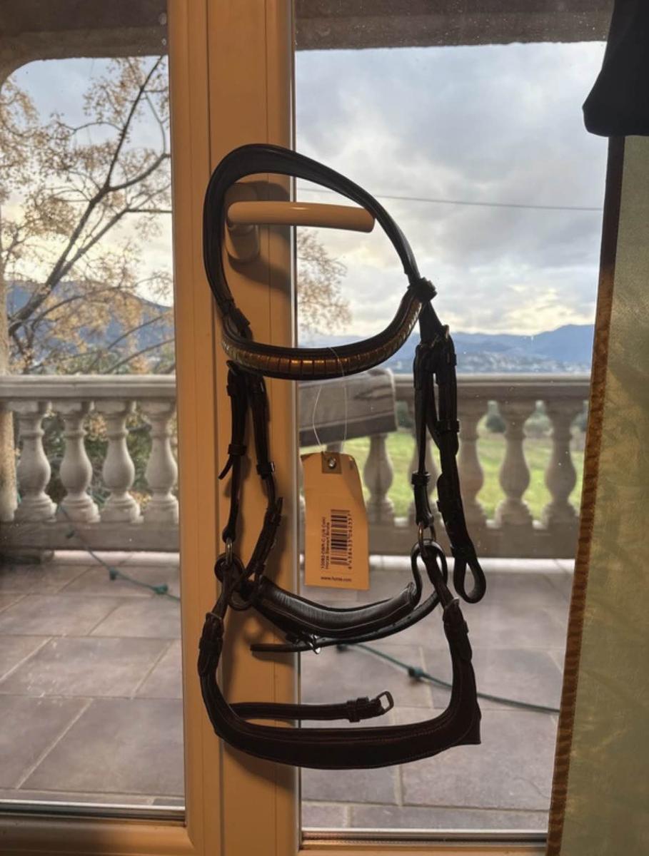 filet horze anatomique