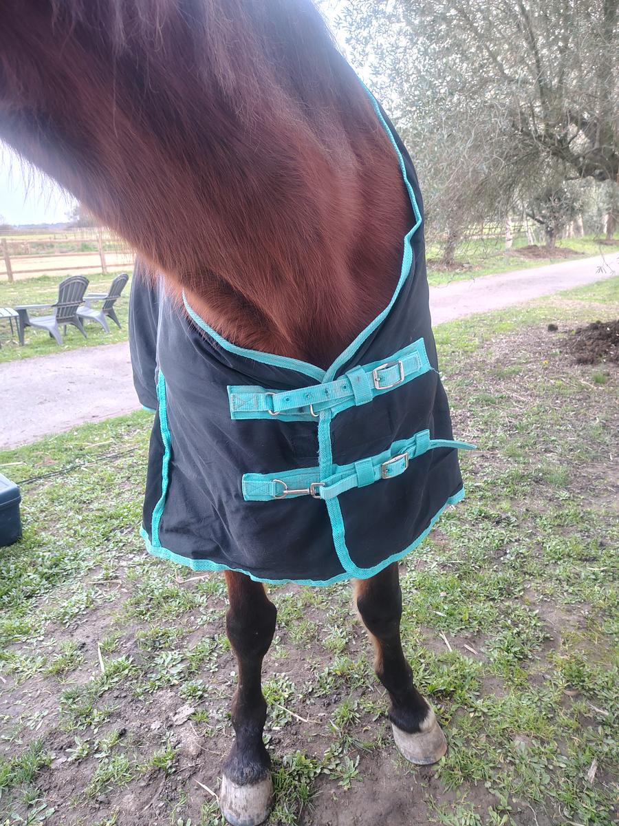 Couverture Felix Buhler 200g 155cm