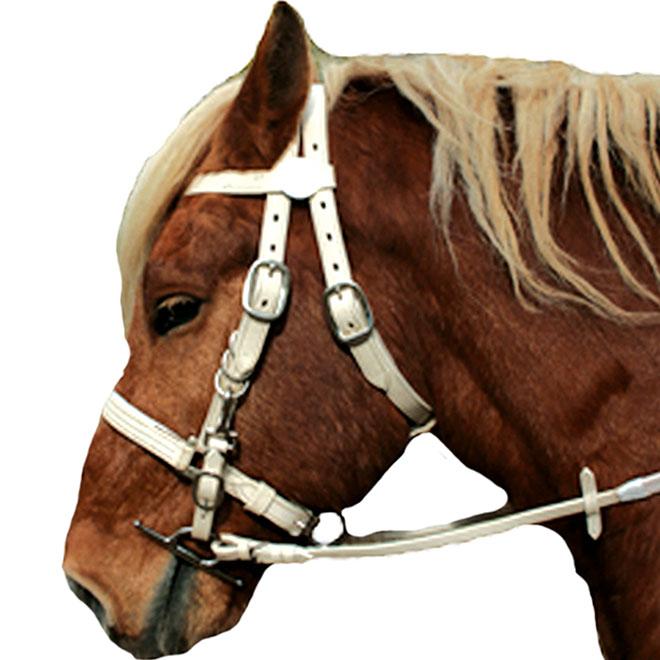 Bridon / Licol Cheval de Trait