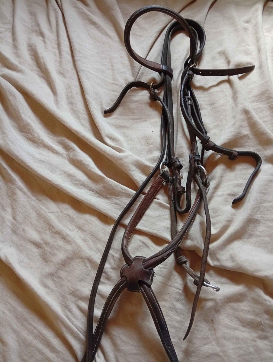 filet muserolle mexicaine