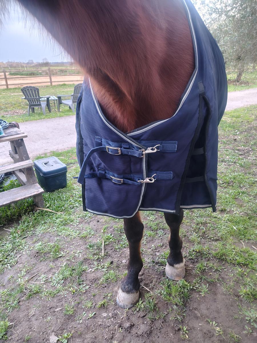 Couverture Decathlon 300g 165