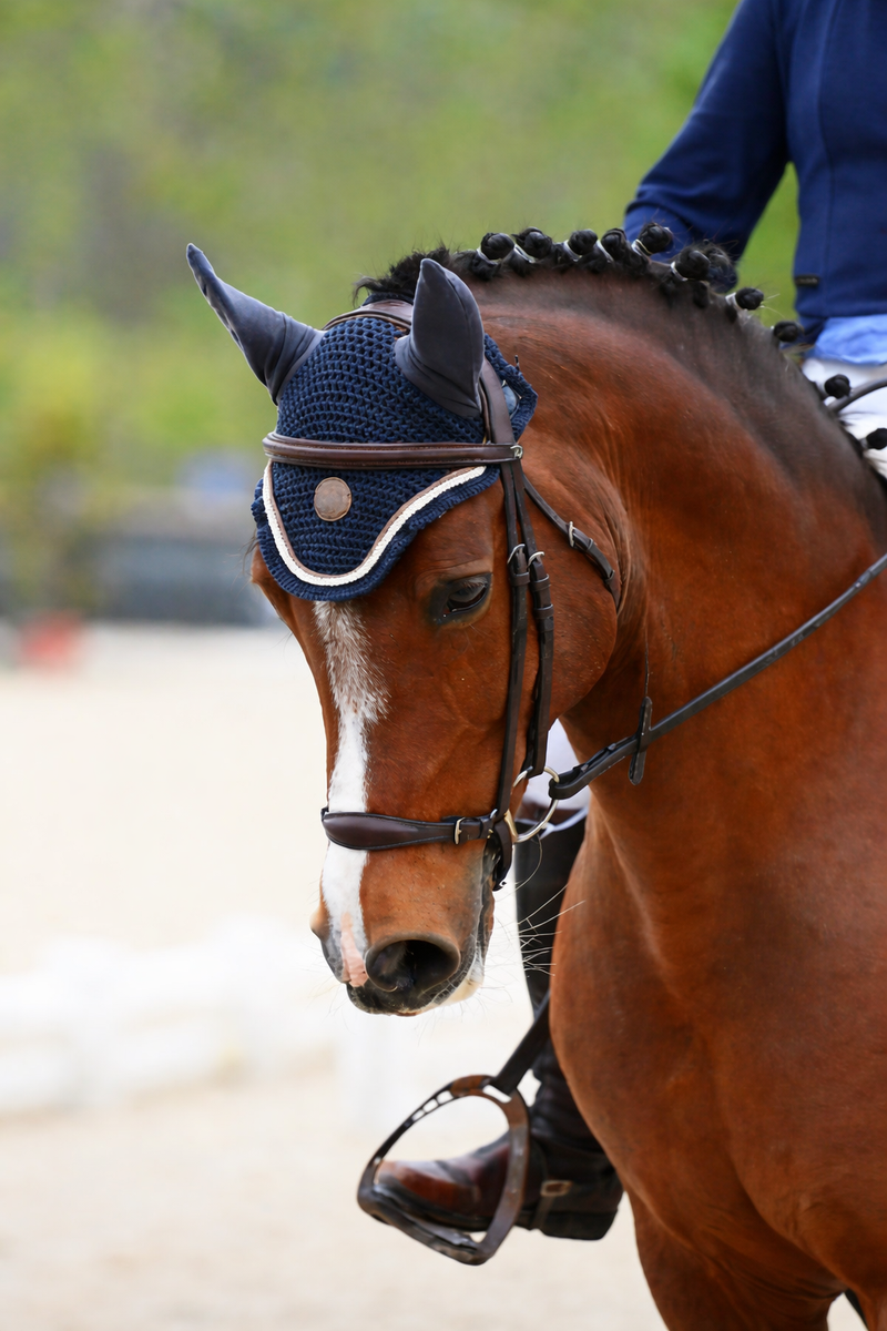 Bridon Dy'on marron cob Muserolle allemande+ rênes