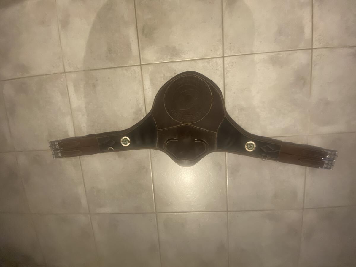 Sangle bavette FORESTIER poney SEOUL 115 excellent état