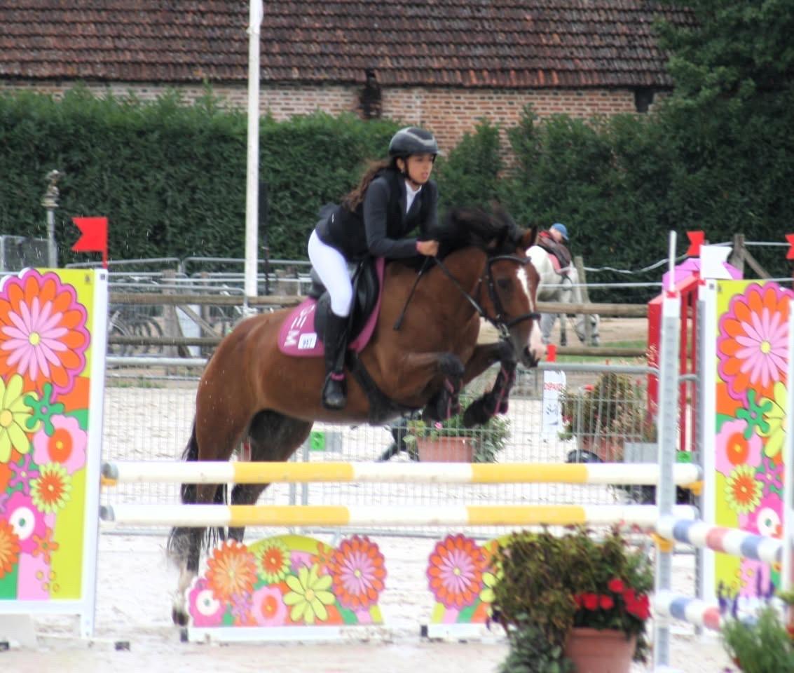 Lot guêtres VEREDUS COLOR VENTO