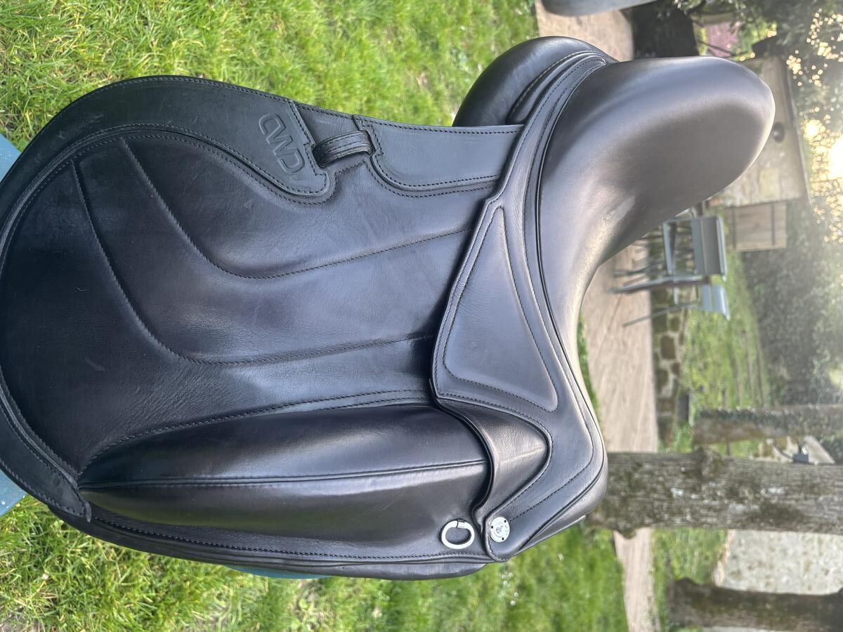 Selle cwd dressage 15,5 pouces