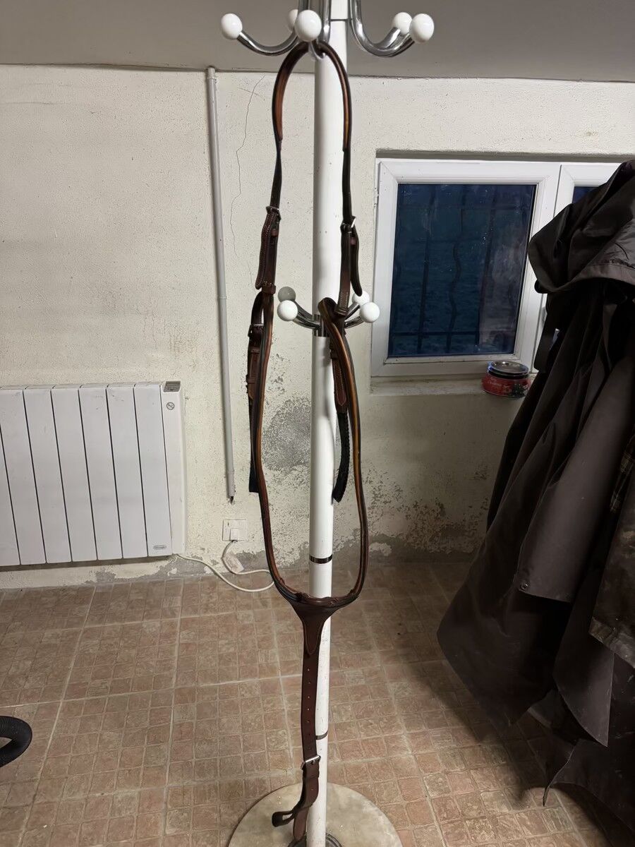 collier de chasse butet