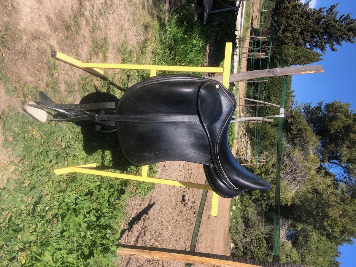 Selle Childéric modèle DSG