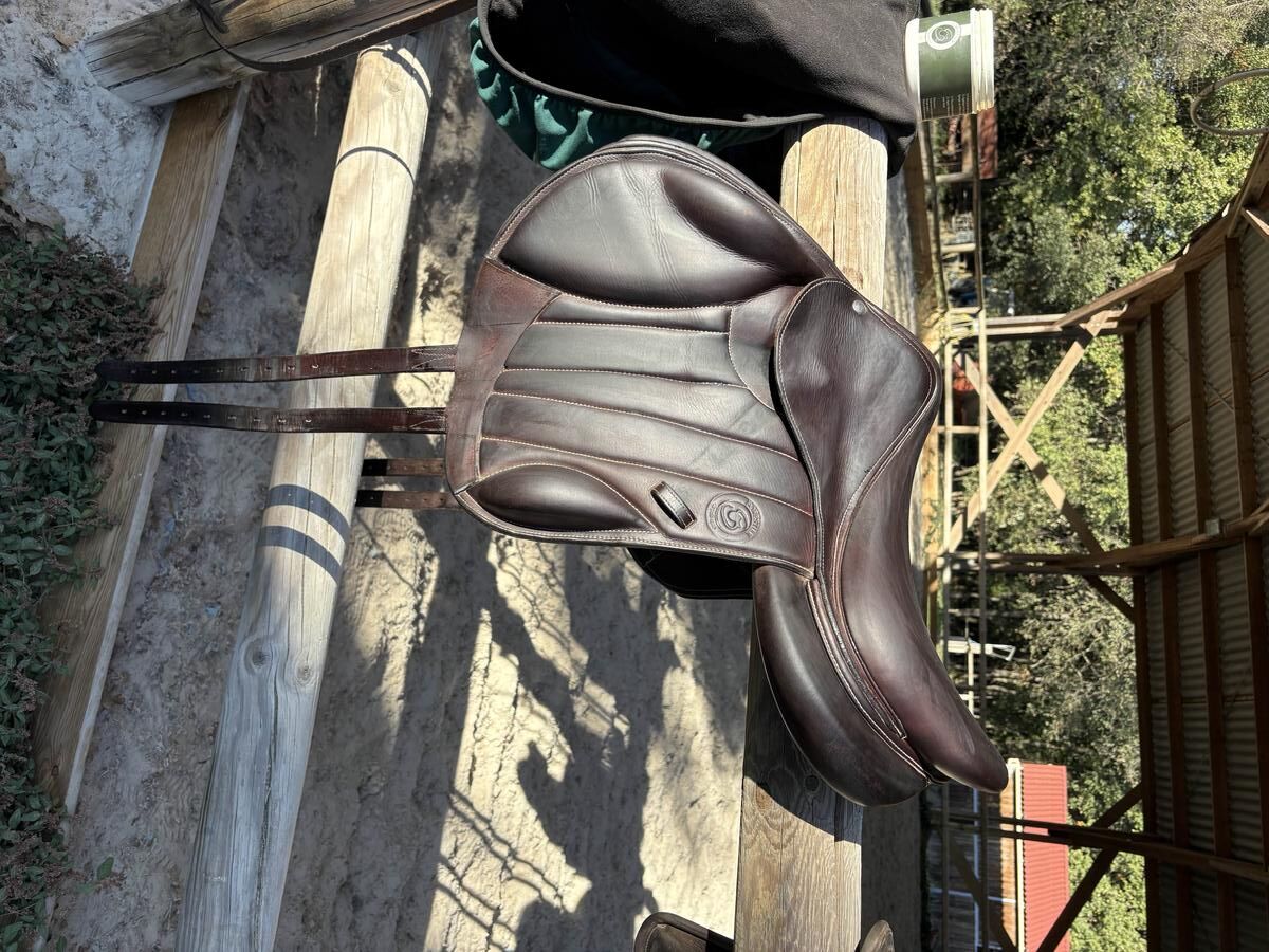 selle Boeckelo Forestier