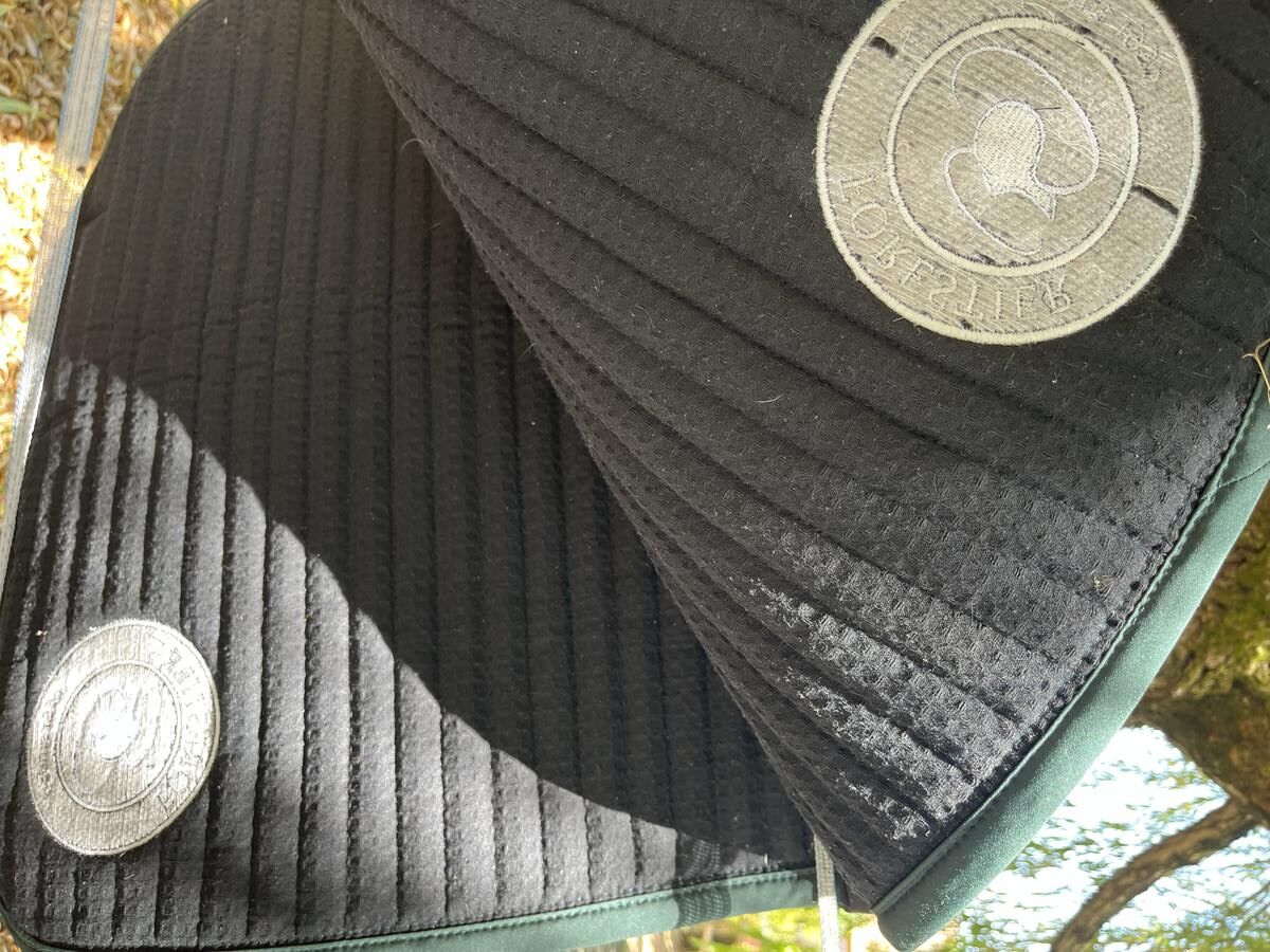 Tapis Forestier