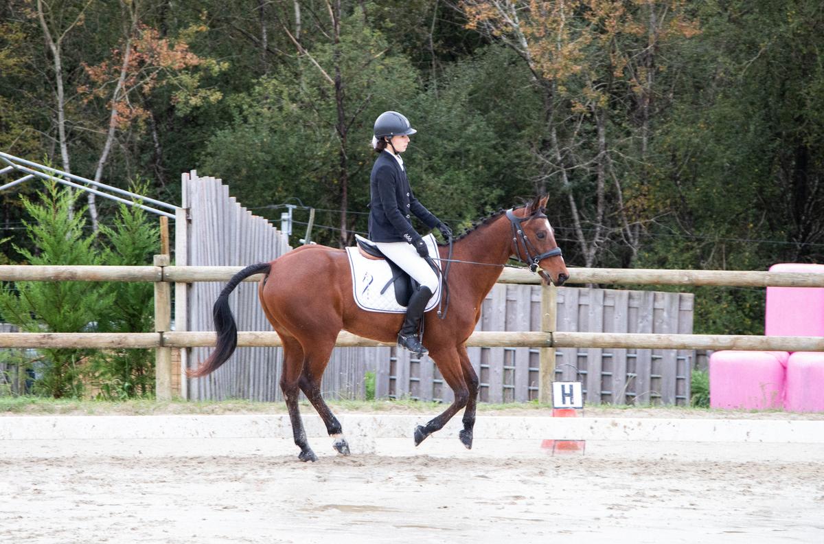 filet têtière anatomique Dyo