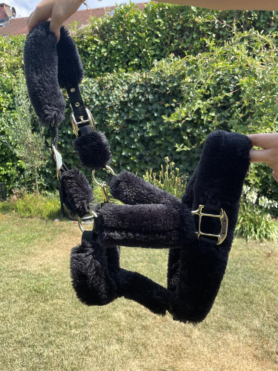 Licol Kentucky Horsewear